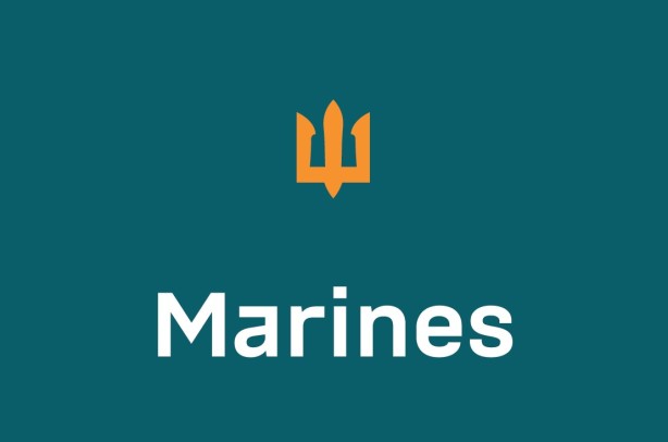 Flag of the Marines of the Armed Forces of Ukraine (prapor-mp-ua-2)