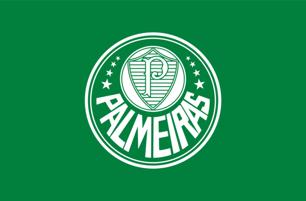 Прапор ФК Палмейрас (football-00075)