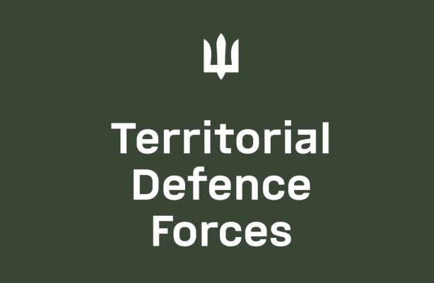 Flag of the Territorial Defense Forces of the Armed Forces of Ukraine (prapor-tro-ua-2)