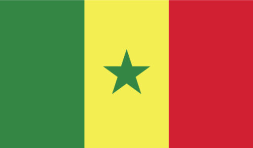 прапор Сенегалу (world-00045)