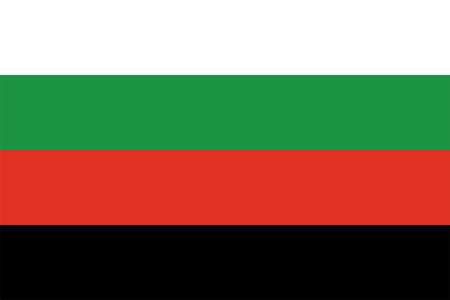 Прапор Селидового (flag-288)