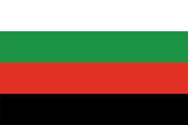 Прапор Селидового (flag-288)