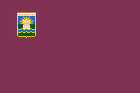 Прапор міста Новомосковська (flag-000103)
