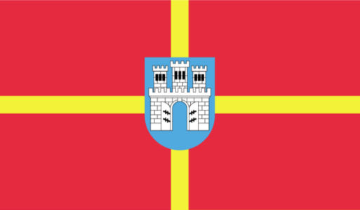 прапор Житомирської області (flag-00015)