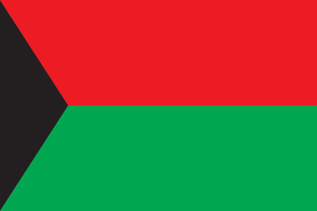 Прапор Дебальцевого (flag-118)