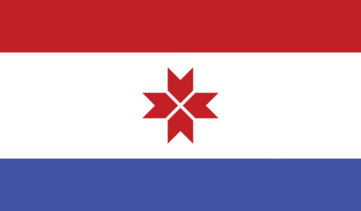 Прапор Мордовії (world-00273)