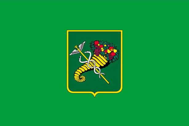 Прапор міста Харків (flag-00095)