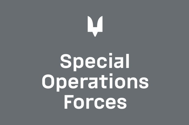 Flag of the Special Operations Forces of the Armed Forces of Ukraine (prapor-sso-ua-2)