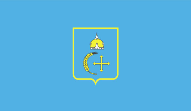 прапор Сумської області (flag-00010)