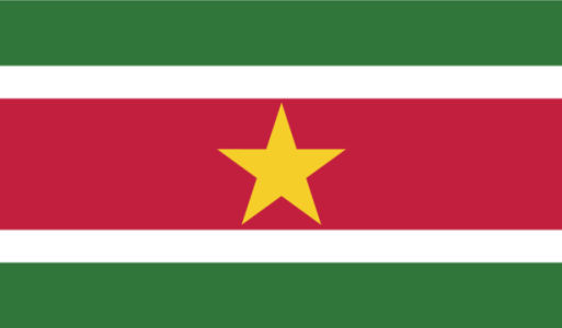 прапор Суринаму (world-00104)