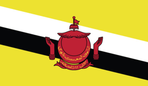 Прапор Брунею (world-00187)