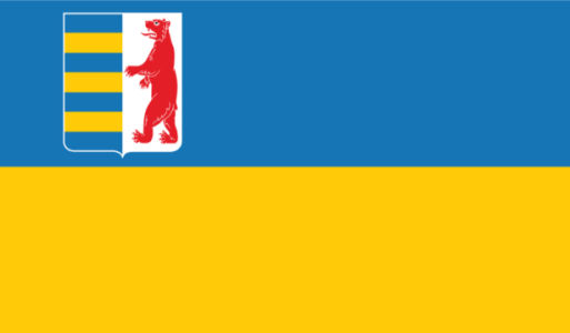 Прапор Закарпатської області (flag-00042)