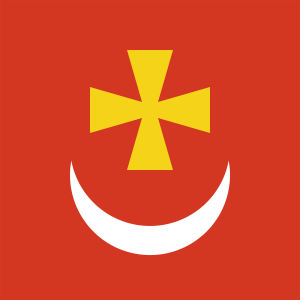 Прапор Борзни (flag-256)