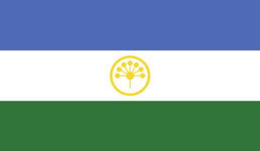 Прапор Башкортостану (world-00171)