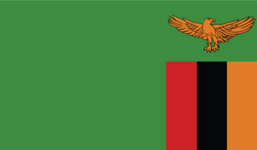прапор Замбії (world-00144)