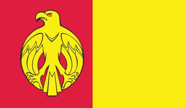 Прапор Кіровоградської області (flag-00014)