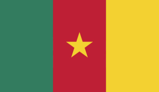 Прапор Камеруну (world-00193)