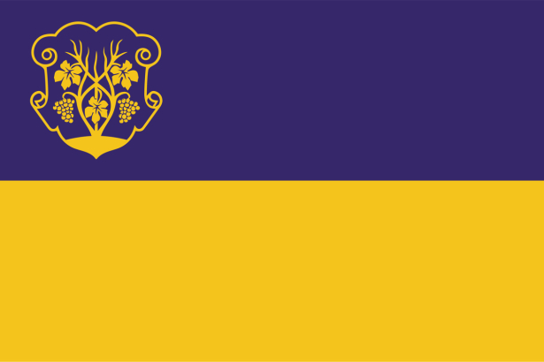 Прапор міста Ужгород (flag-00086)